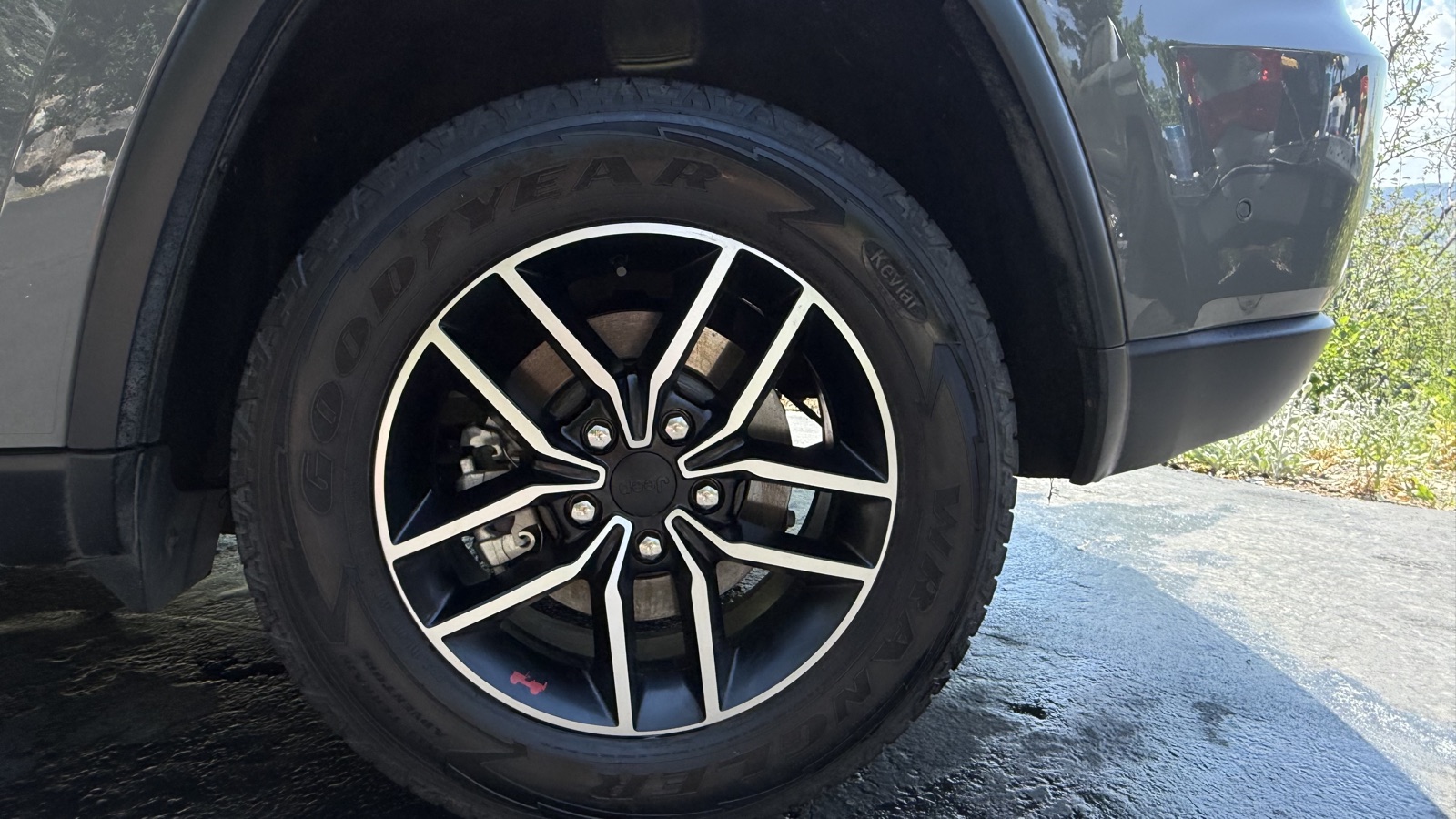 Wheel after detailing and tire shine